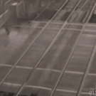 Near-death experience